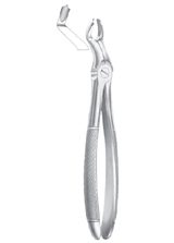 Fig. 67 ½R upper third molars right